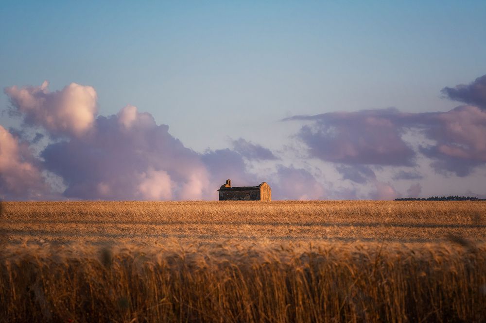 Photograph by Paolo Partipilo
