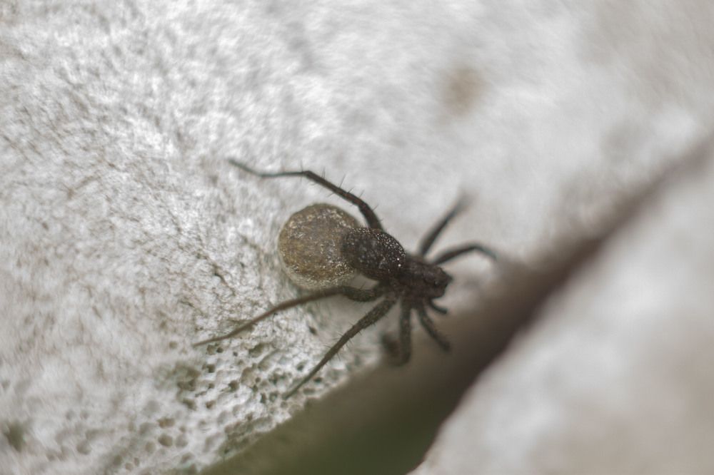 Photograph by Владислав Капанов