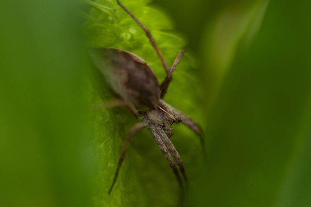 Photograph by Владислав Капанов