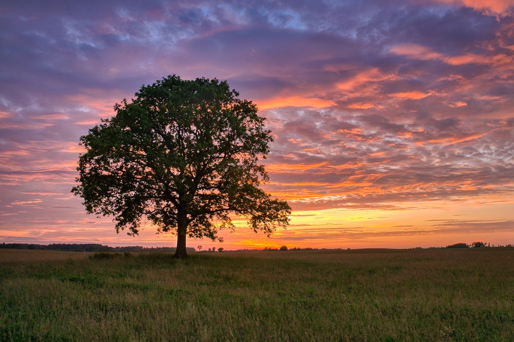 Photograph by Albina Kulikova