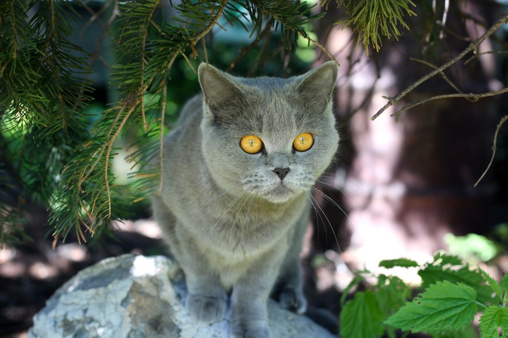 Photograph by Евгения Зазулина