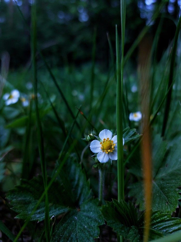 Photograph by Ксения Цветкова