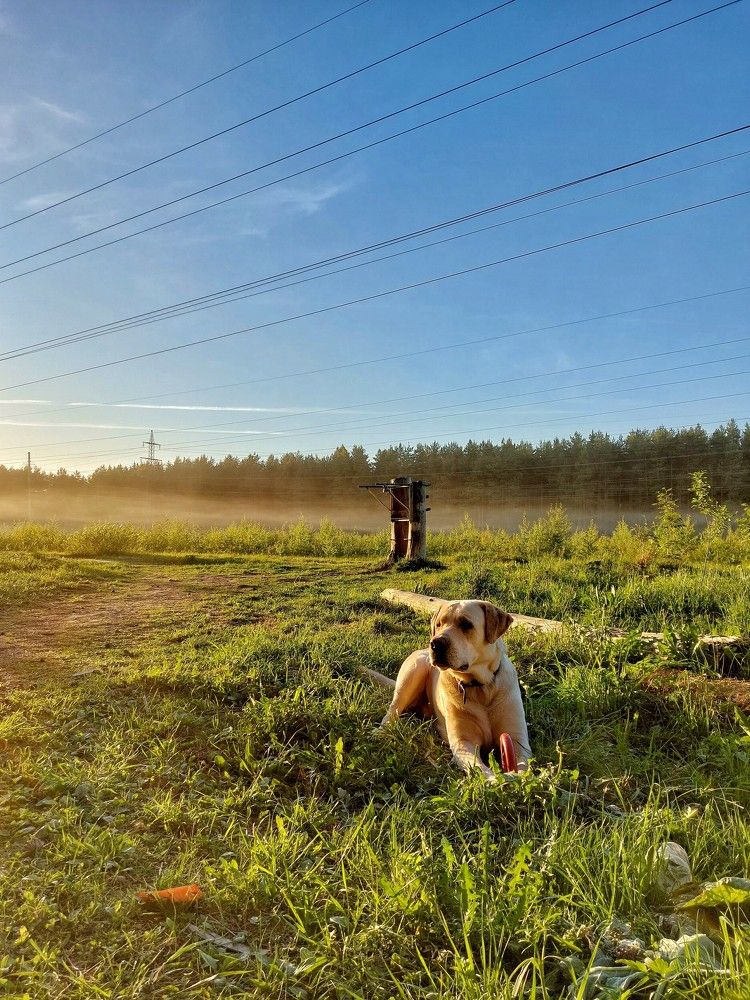 Photograph by Ксения Цветкова