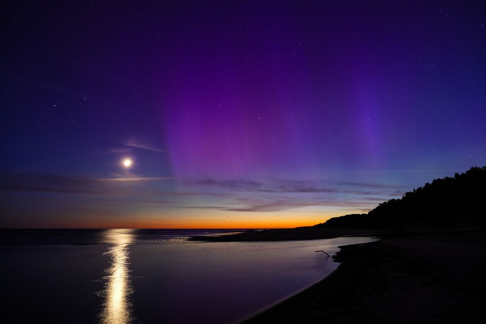 Фотография автора Elvijs Kalnins