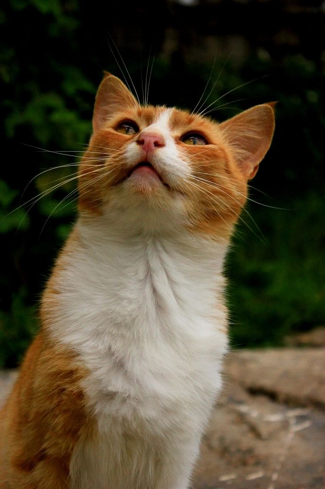 Photograph by Руслан Гордиенко