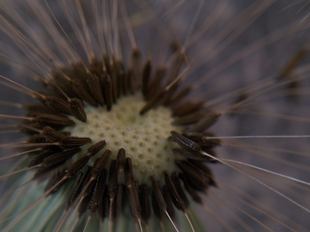 Фотография автора Максим Гафнер