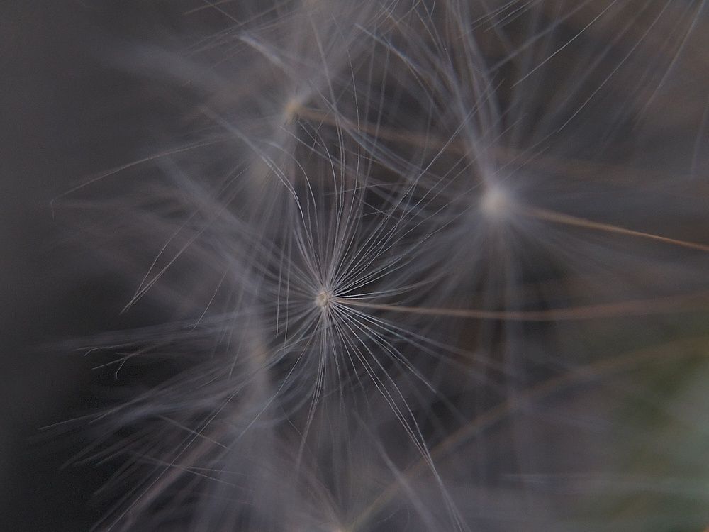 Фотография автора Максим Гафнер