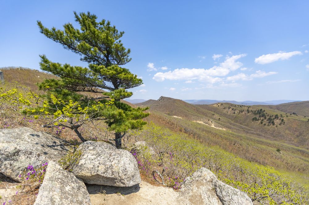 Photograph by Андрей Михайлов