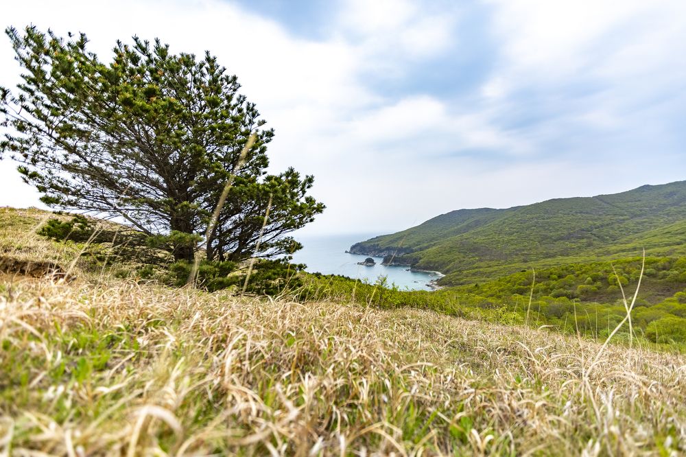 Photograph by Андрей Михайлов