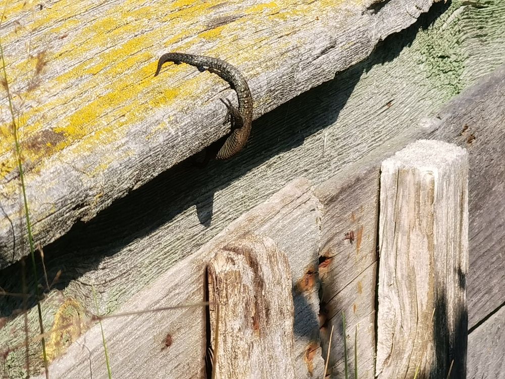 Photograph by Виталий Кореньков