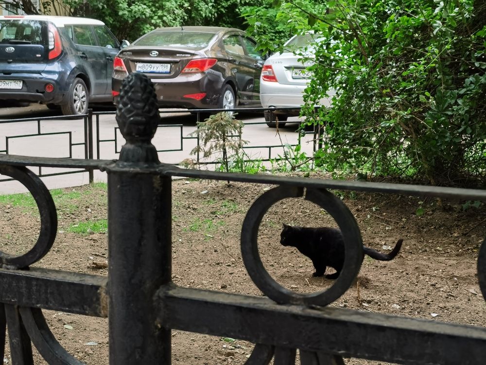 Photograph by Виталий Кореньков