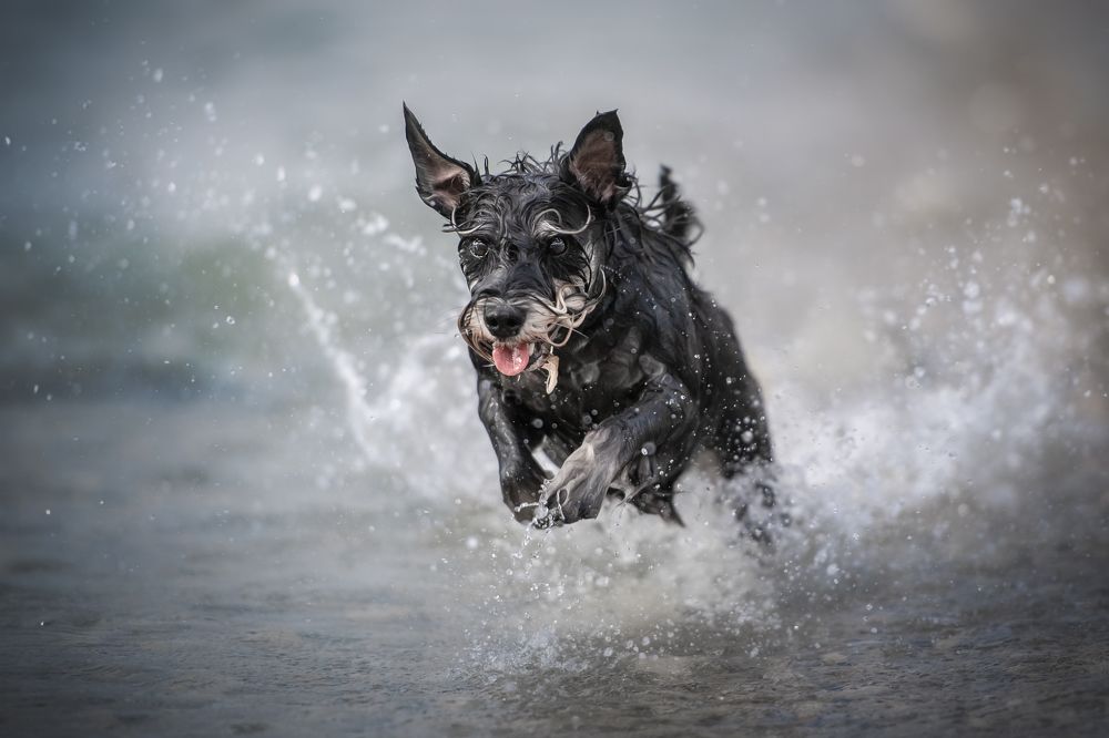 Photograph by Наталья Орел