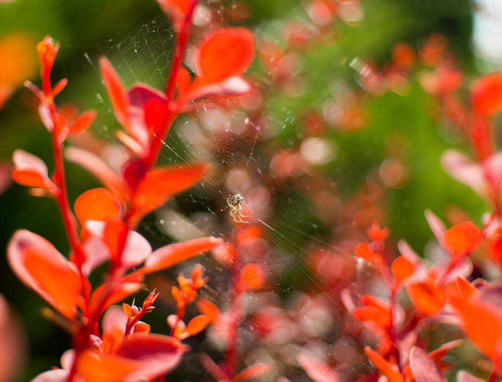 Photograph by 