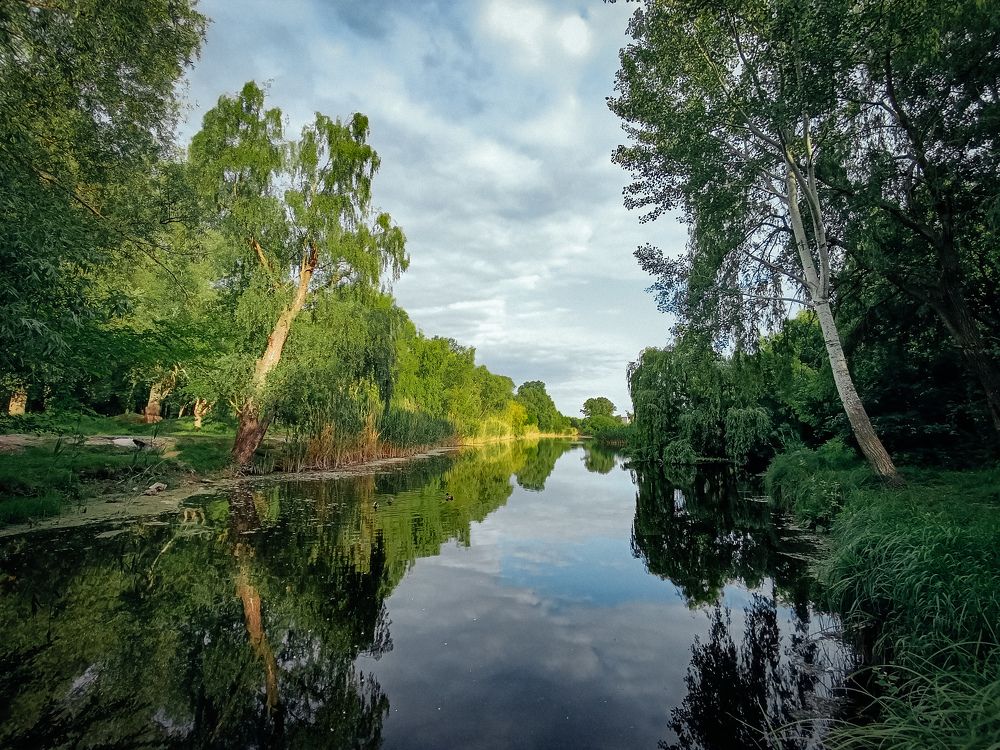 Photograph by Юлия Жукова