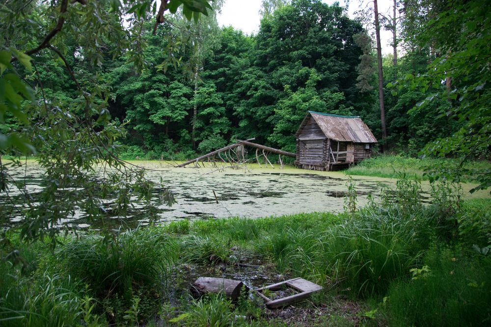 Photograph by Юля Курдова