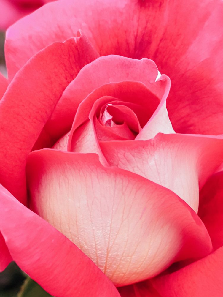 Photograph by Юлия Жукова