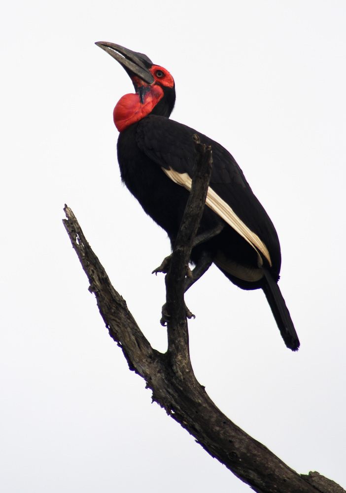 Photograph by Sasha Elske