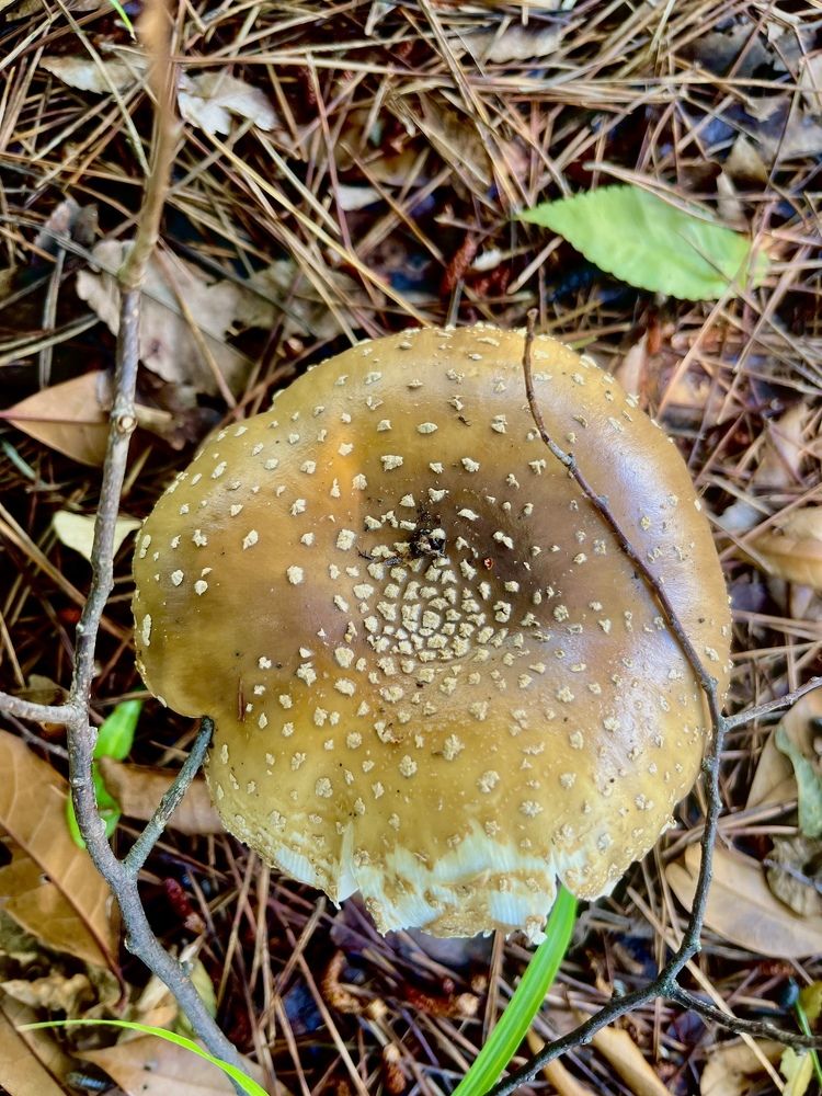 Photograph by Md Main Uddin Mamun