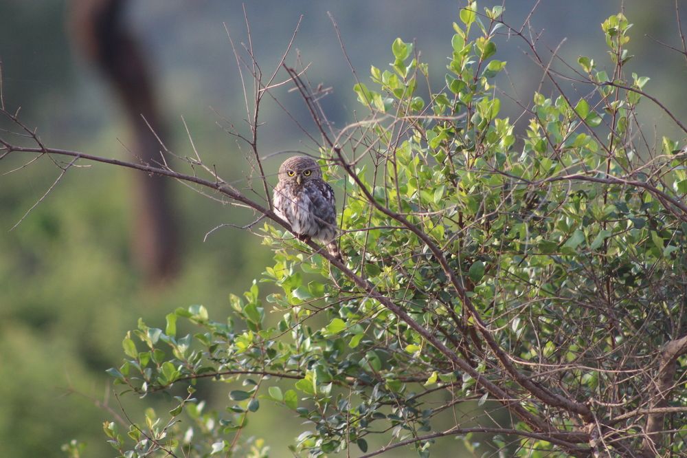 Photograph by Sasha Elske