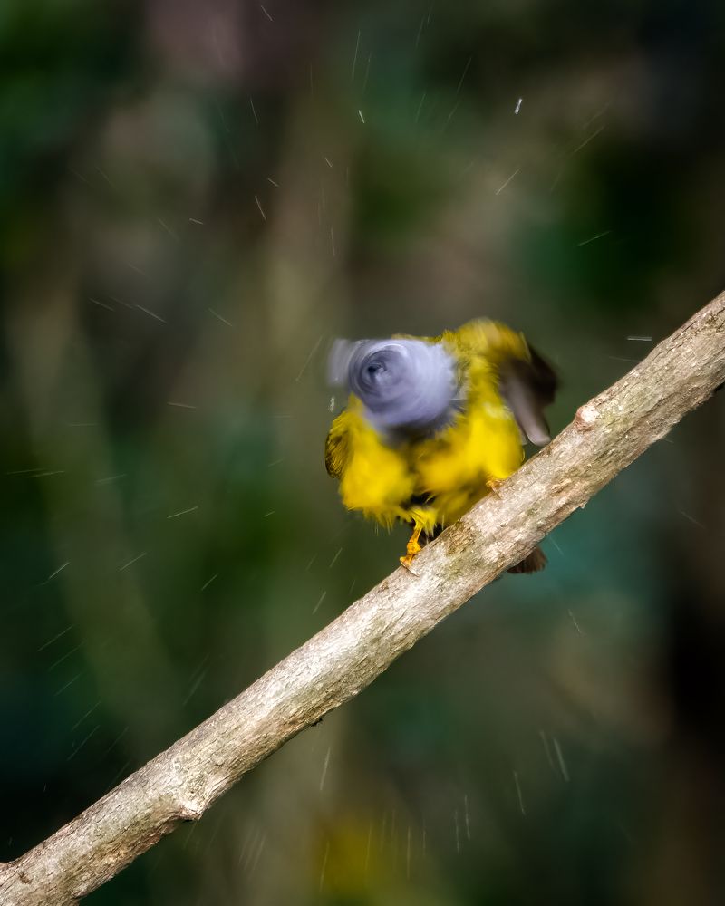 Photograph by Arindam Chowdhury