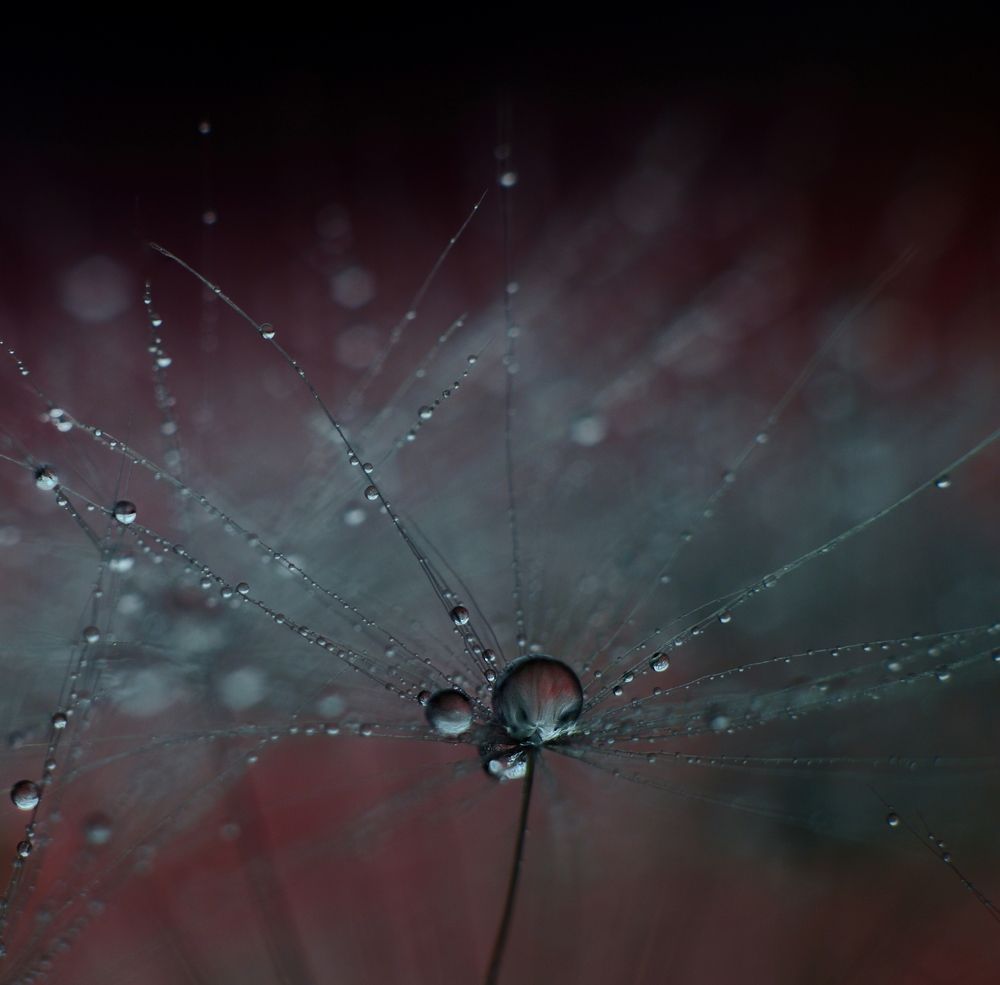 Photograph by Magic Helios