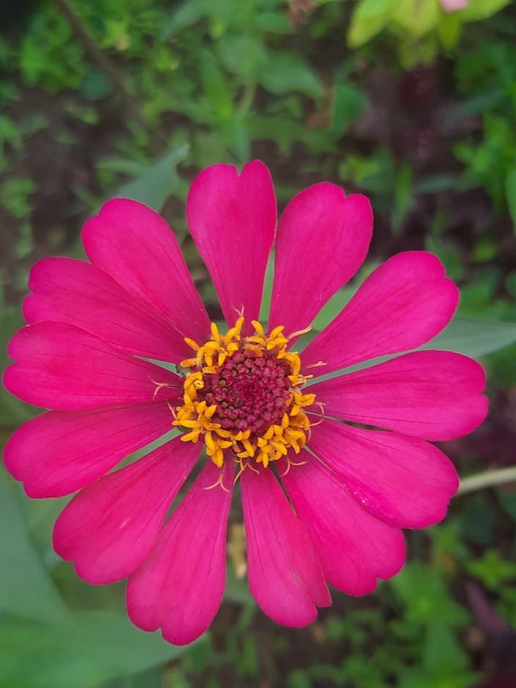 Photograph by Dimuth De Zoysa