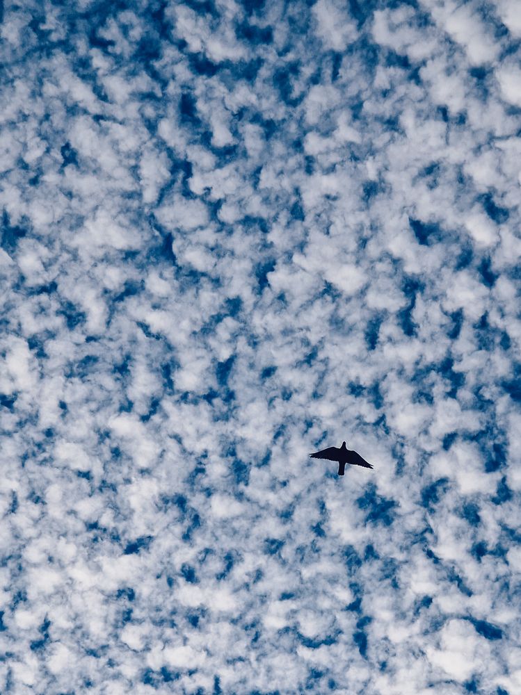 Photograph by Liudmila Kirillova