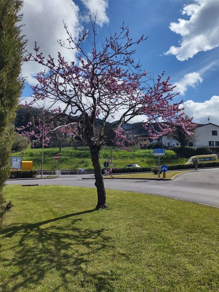 Photograph by Lina Invers