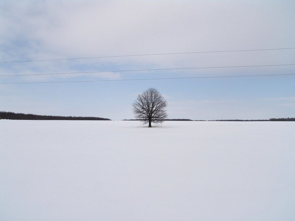 Photo #10662585