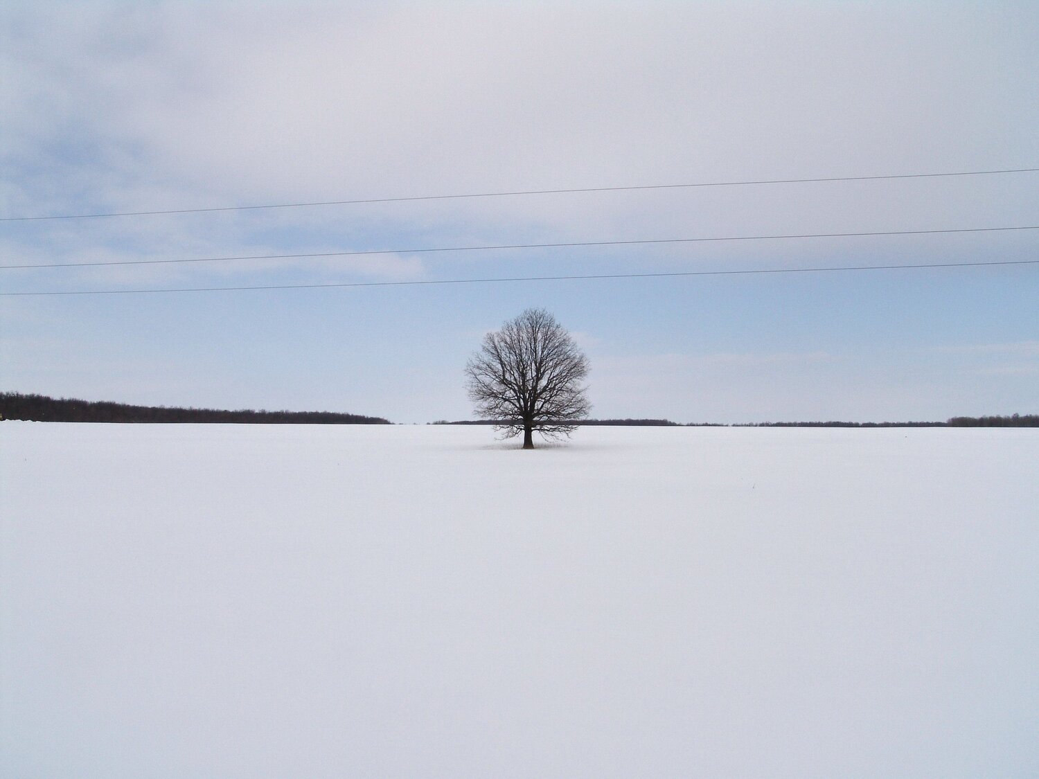 Photo #10662585