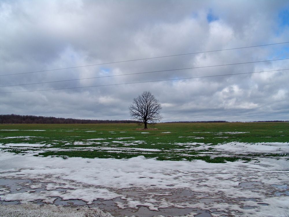Photograph by Денис