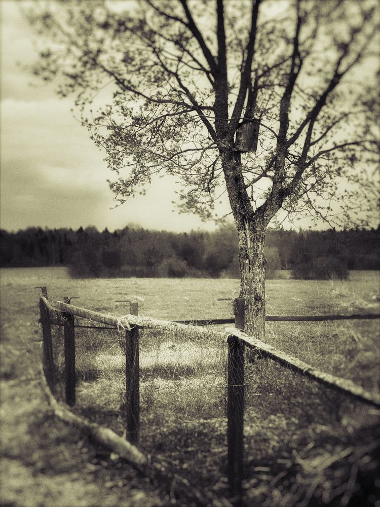 Photograph by Нюрок Конусова