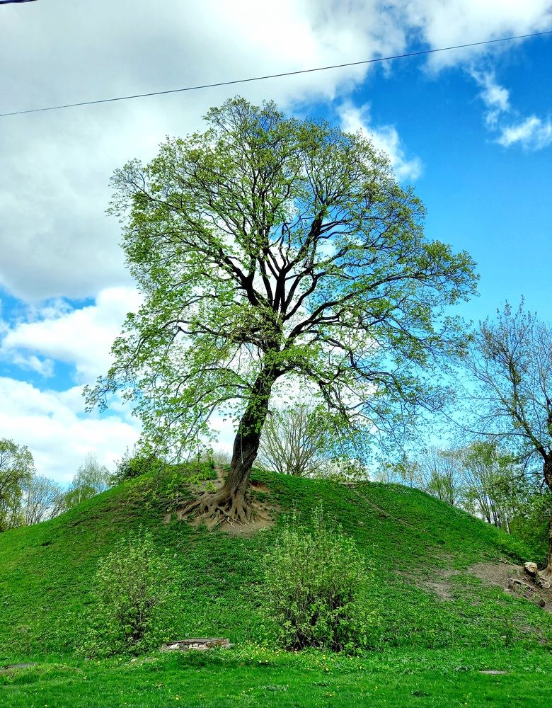 Photograph by Ольга Юрченко