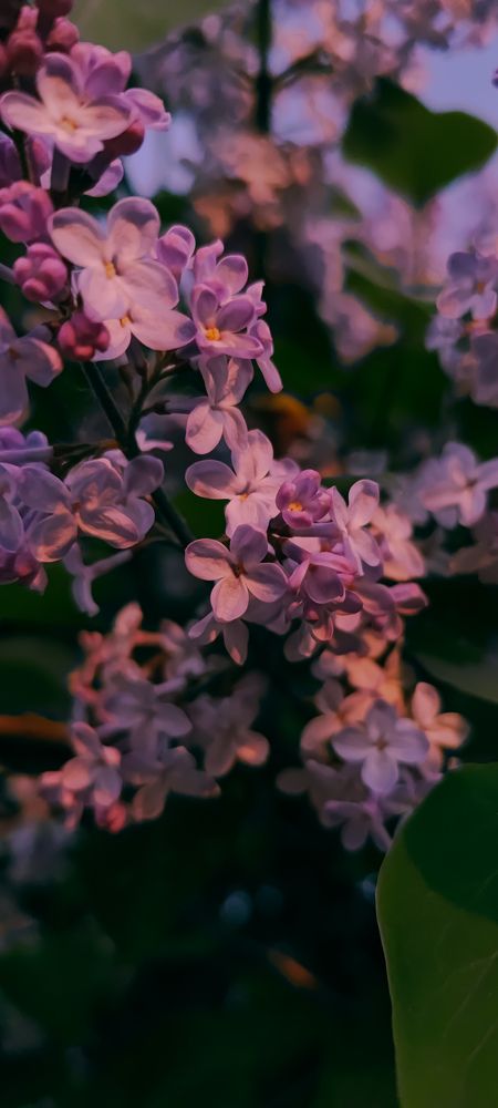 Photograph by Irina Yakovleva