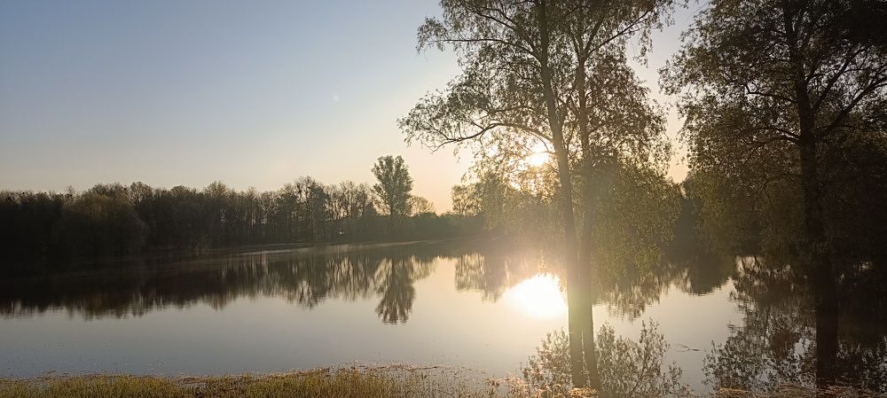 Photograph by Михаил