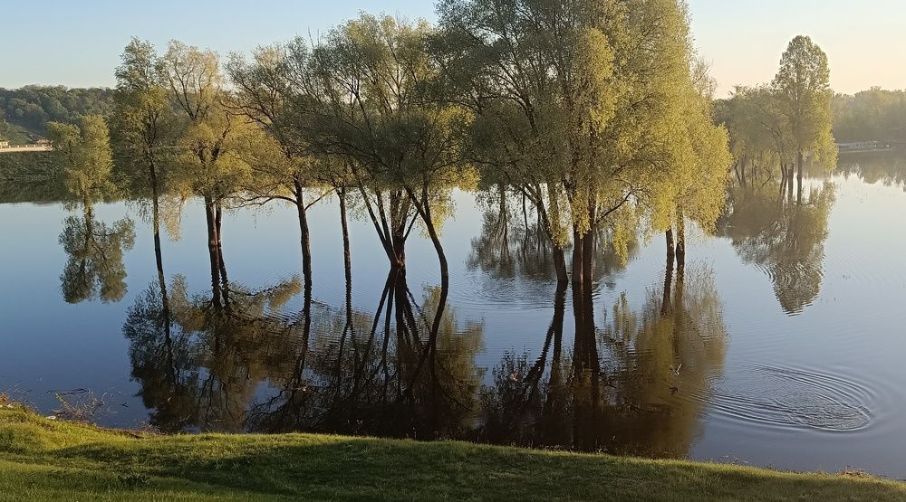 Photograph by Михаил