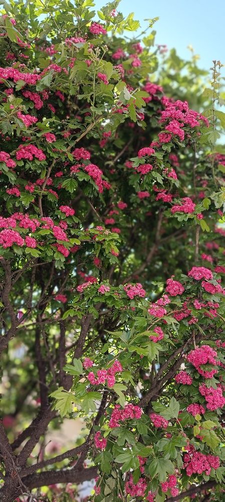 Photograph by Михаил