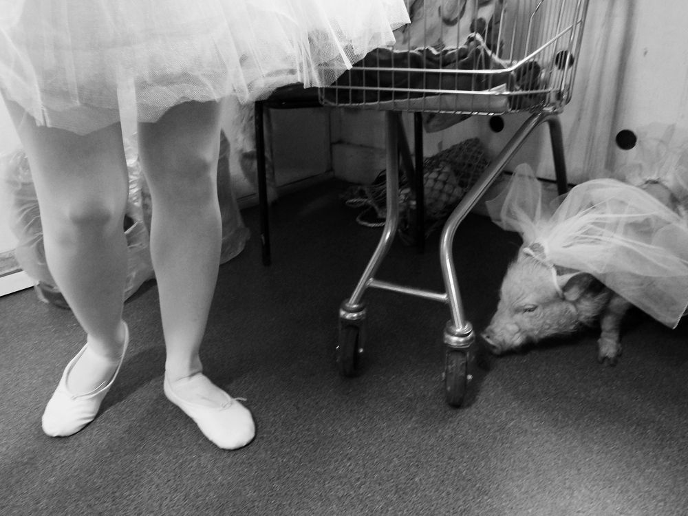 Без названия.