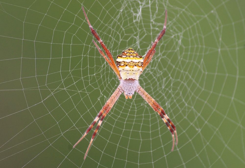 Photograph by Gopinath JM