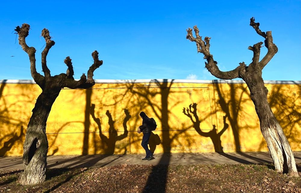 Фотография автора Илья Солдаткин