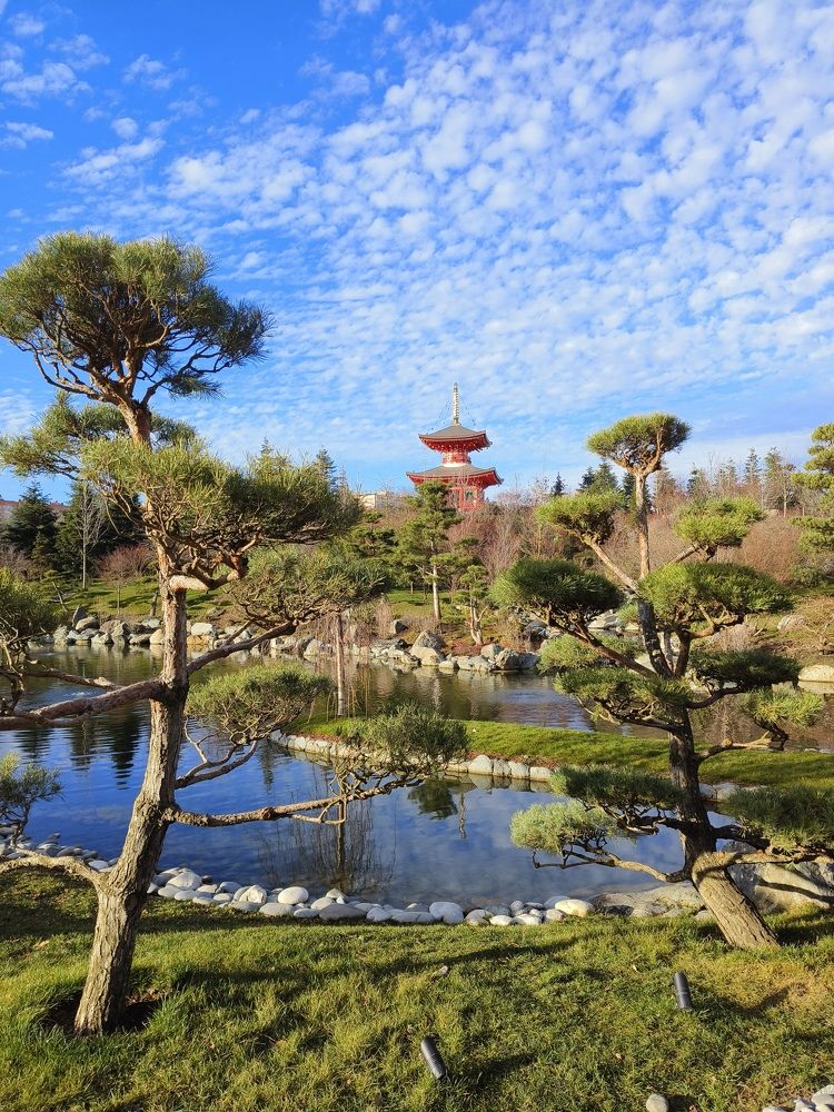 Японский сад