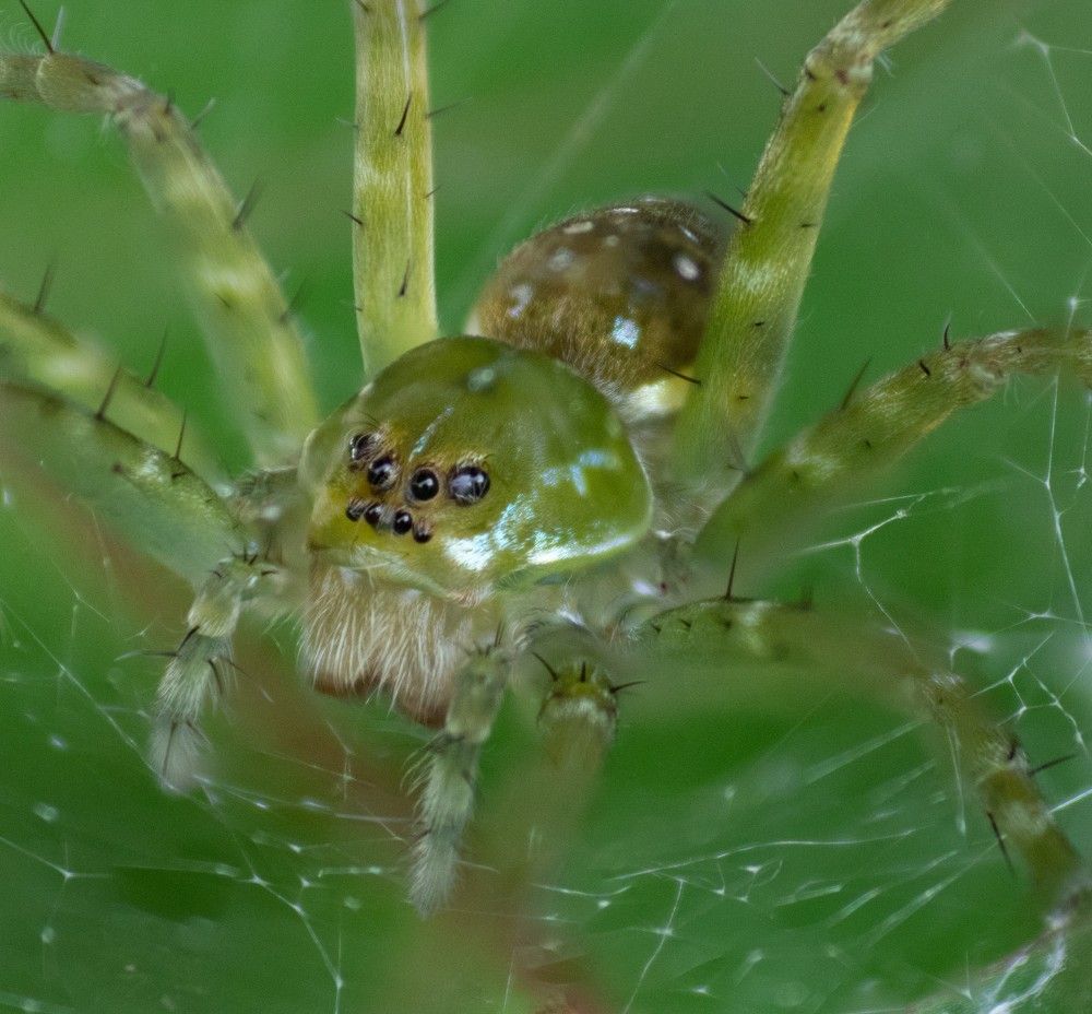 Photograph by elieser barbosa