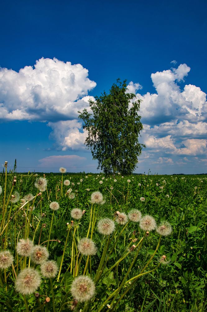 Photograph by Игорь Овсиенко