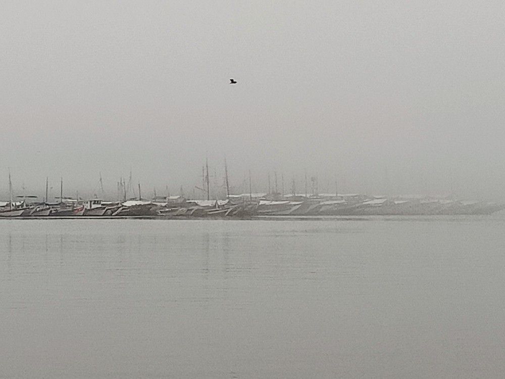 Photograph by elieser barbosa