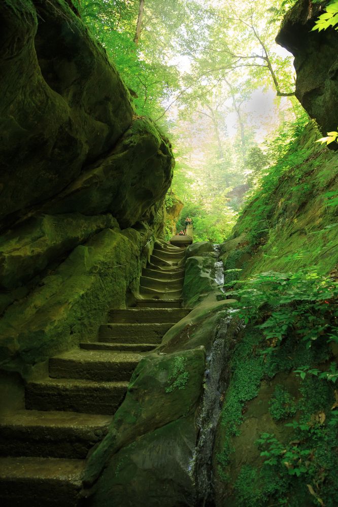 Зелёные тропы