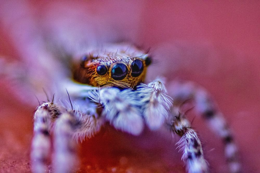 Photograph by elieser barbosa