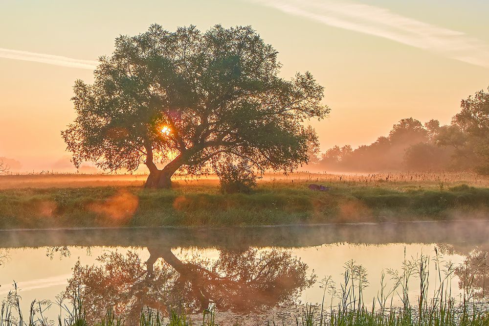 Photograph by Юрий Спасенников