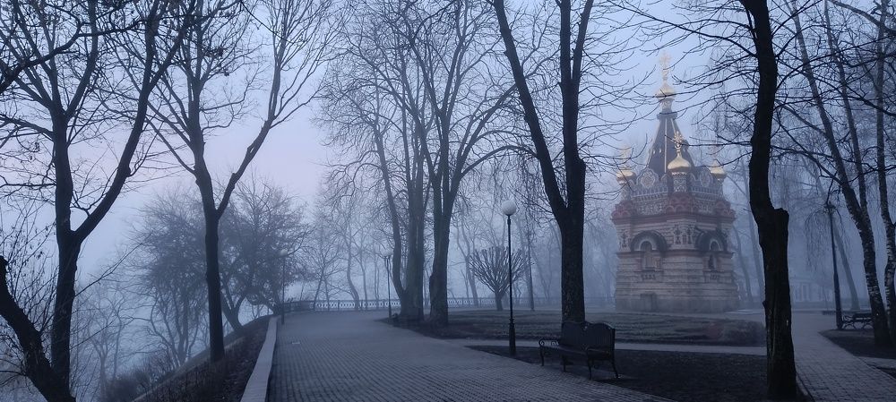 Photograph by Mishel Photographer