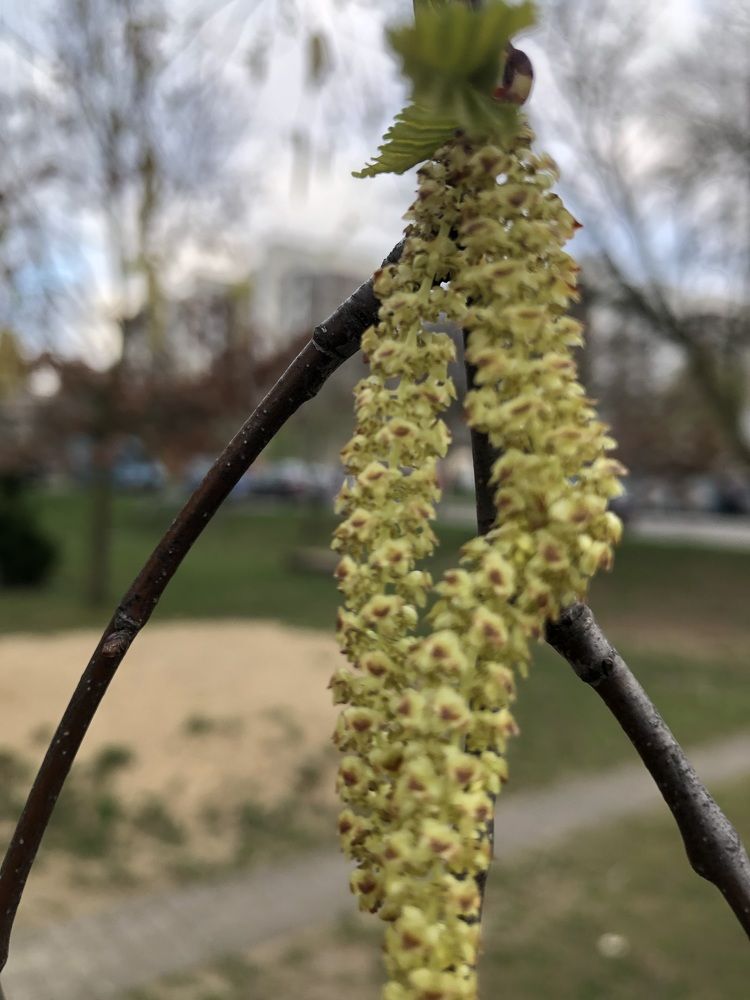 Photograph by Сяргей Кулик