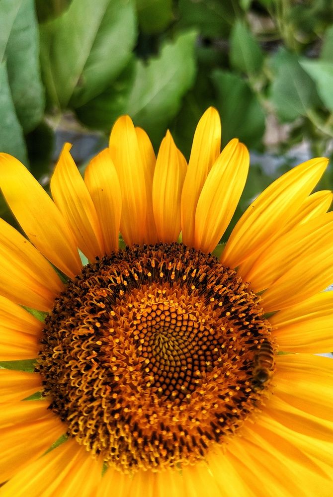 Photograph by GURJIT SHAH